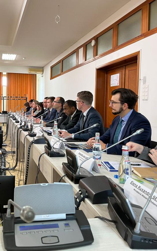 Meeting at the Parliament, Bucharest