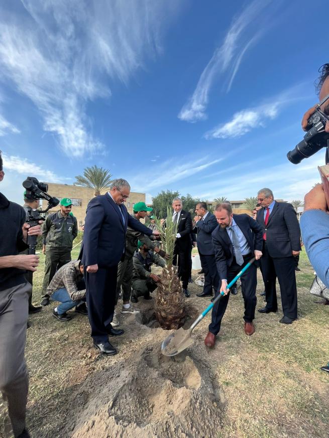 Iraq tree-planting