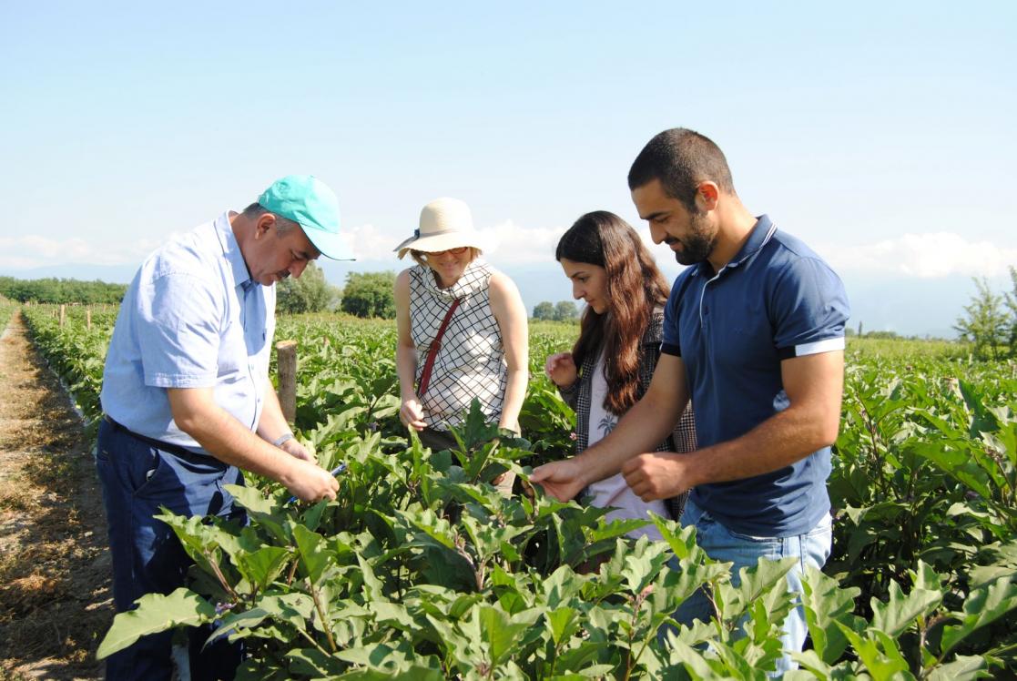 Group of people working in the countryside