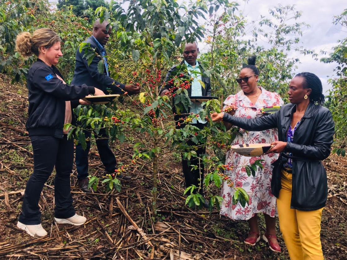 EU Support to Agriculture in Rwanda