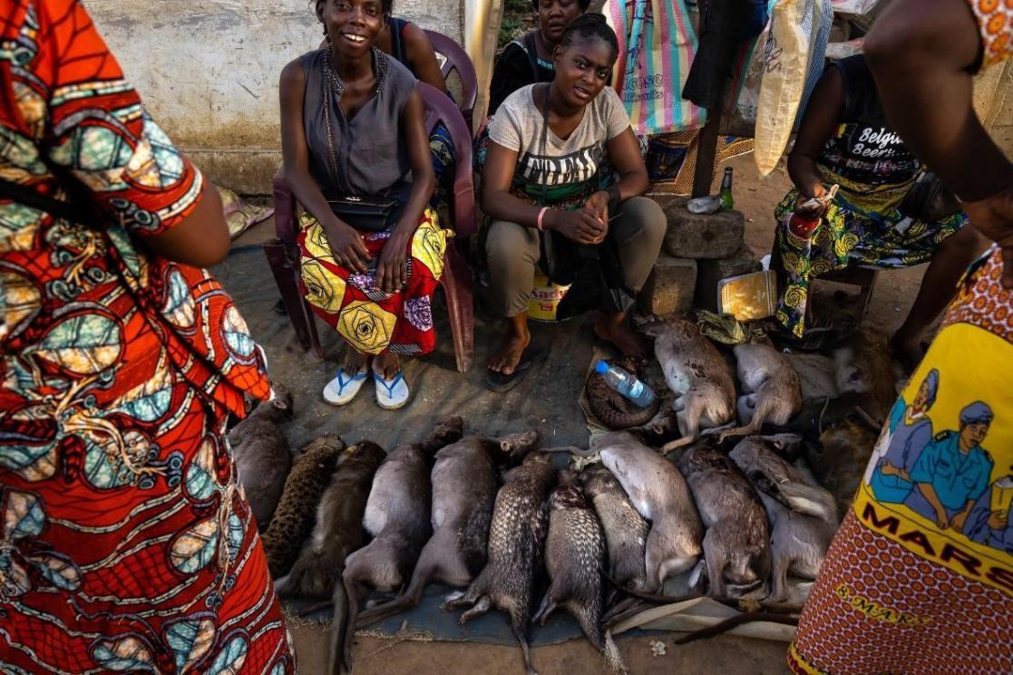 Marché viande de brousse