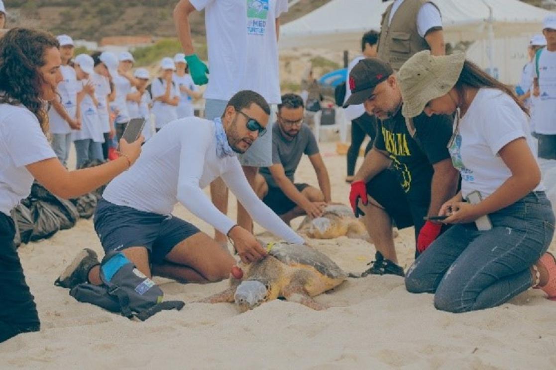 Beach clean-up Tunisia - Turtles