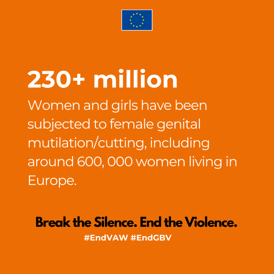 Fact 4 on Violence agaisnt Women