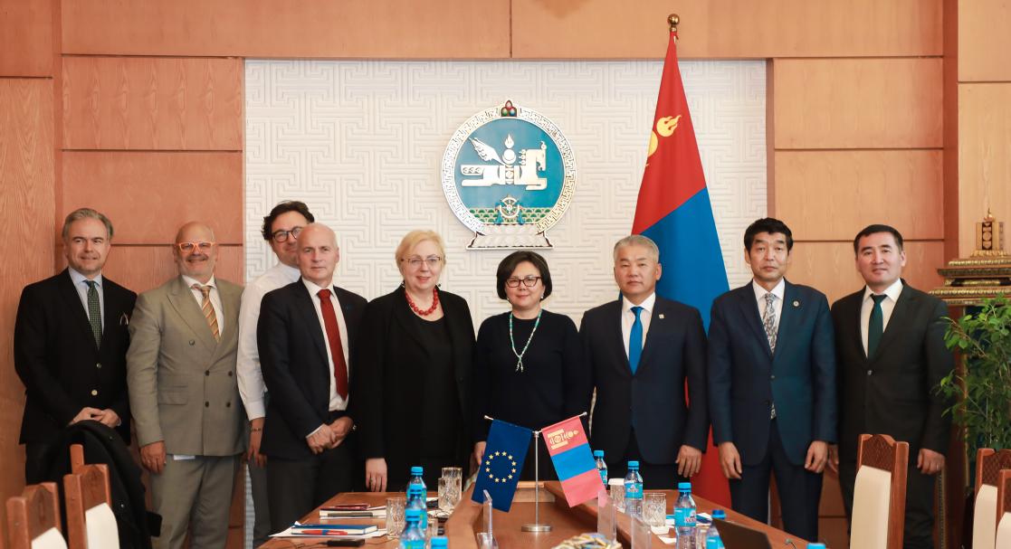 EU Mongolia FP PWG