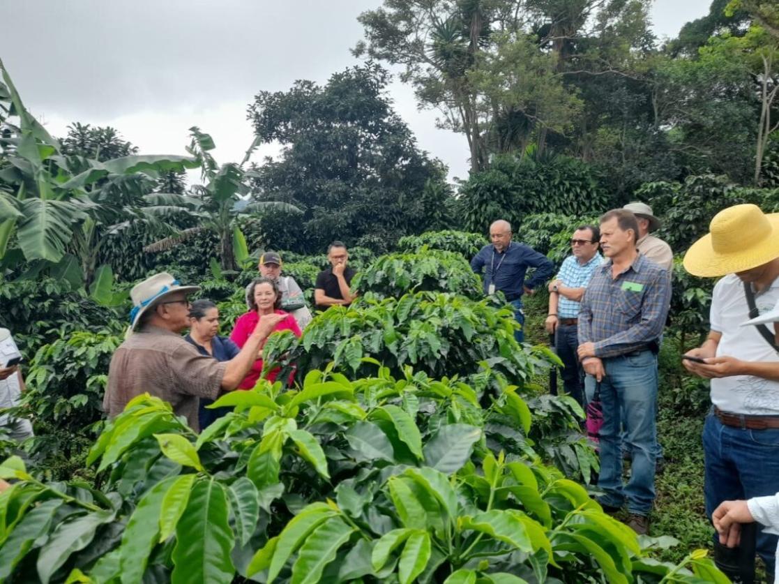 Iniciativas obtendrán apoyo del Fondo de Cooperación Triangular 