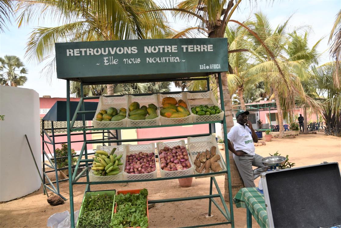 La Ferme école agroécologique de Kaydara