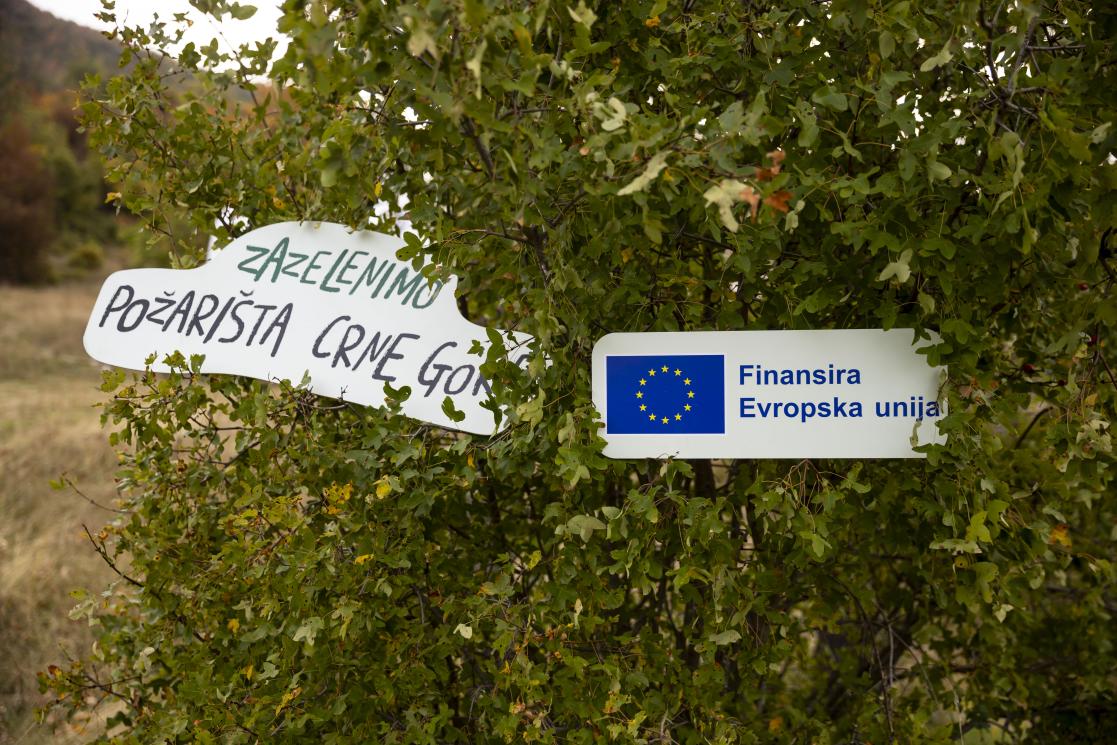 Two signs on the tree  "Zazelenimo požarišta Crne Gore"and "Funded by the EU"