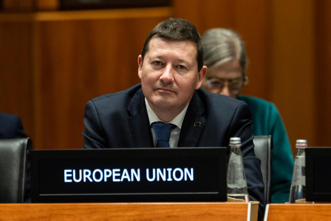 Ambassador Martin Selmayr