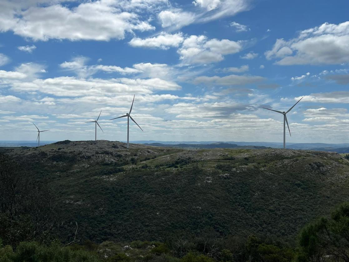 Wind farm 