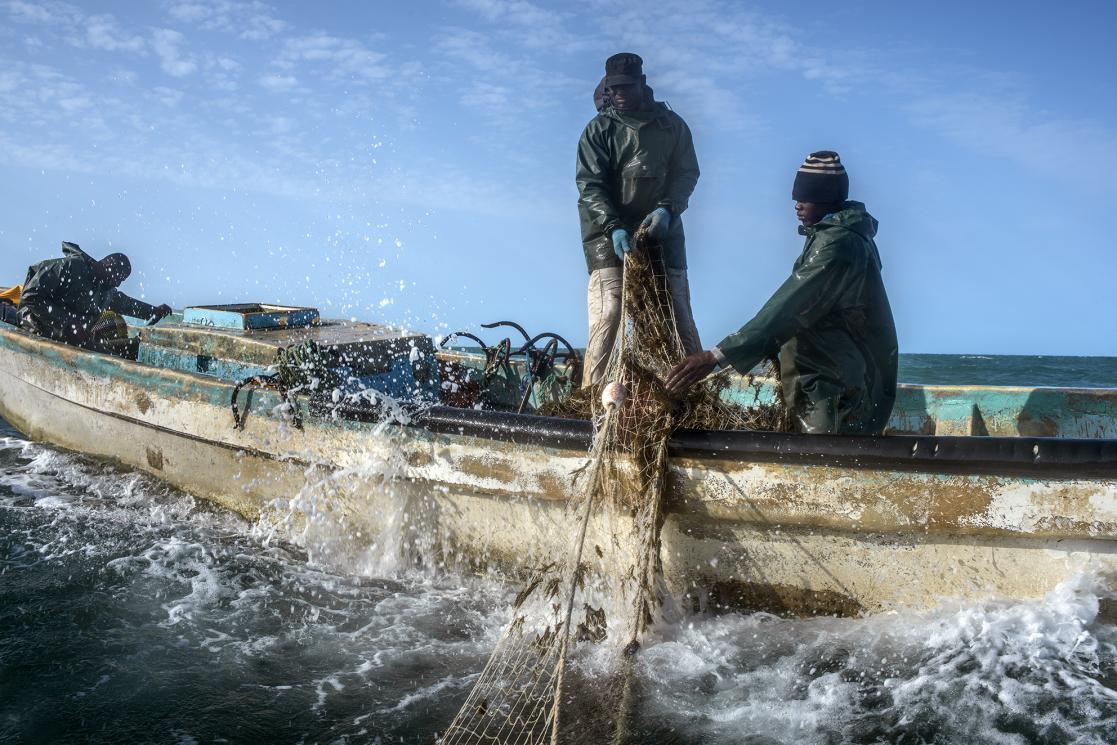 Pêche artisanale à Nouadhibou, Mauritanie