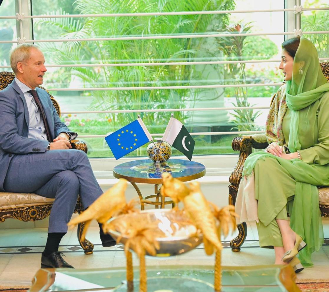 EUSR for Human Rights Amb Skoog calls on CM Punjab Maryam Nawaz