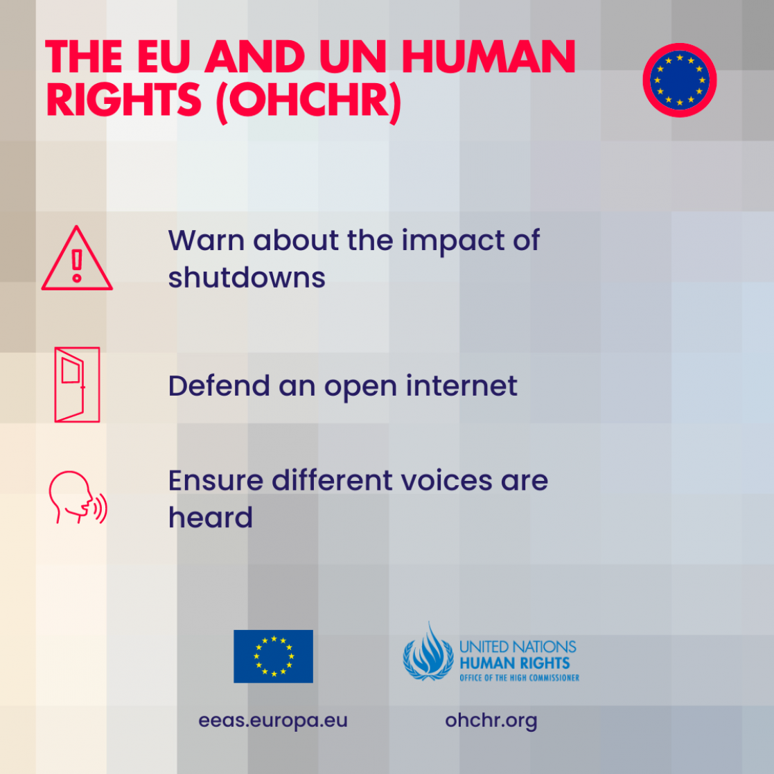 The EU and UN Human Rights (OHCHR)