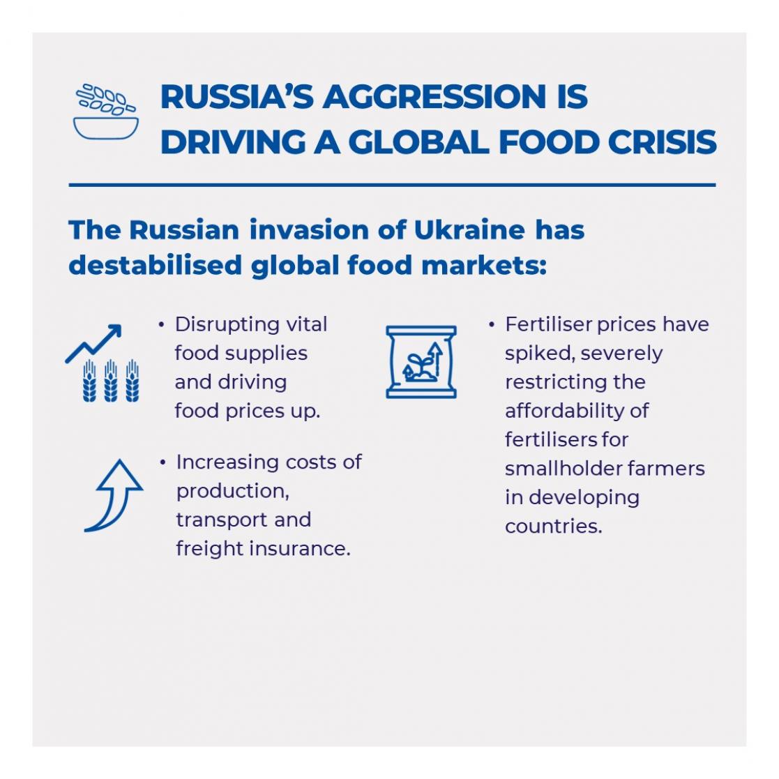 Russia's aggression is driving a global food crisis