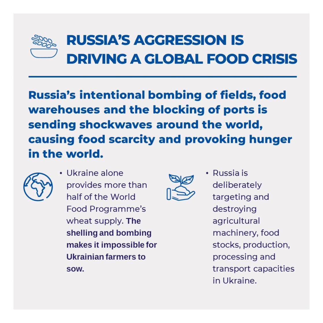 Russia's aggression is driving a global food crisis