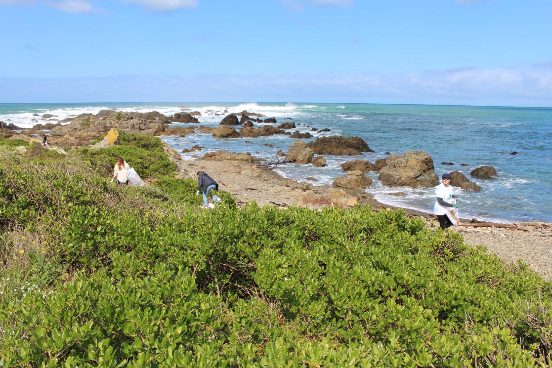 #EUBeachCleanup New Zealand