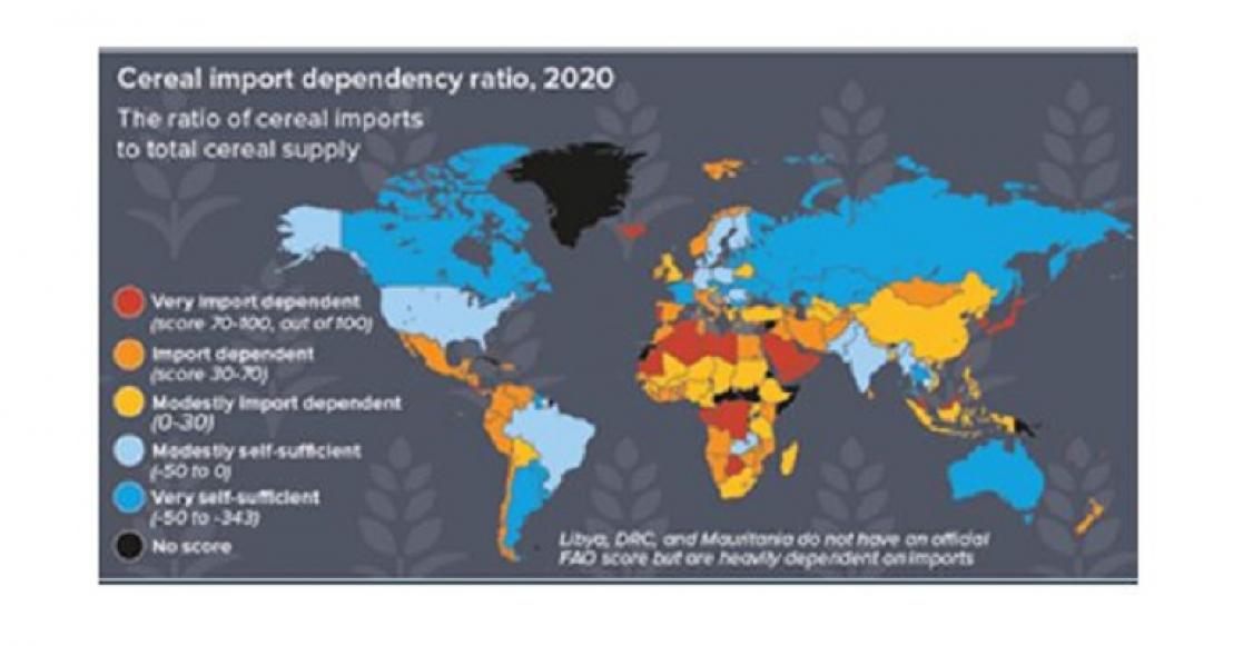 Cereal Import Dependency