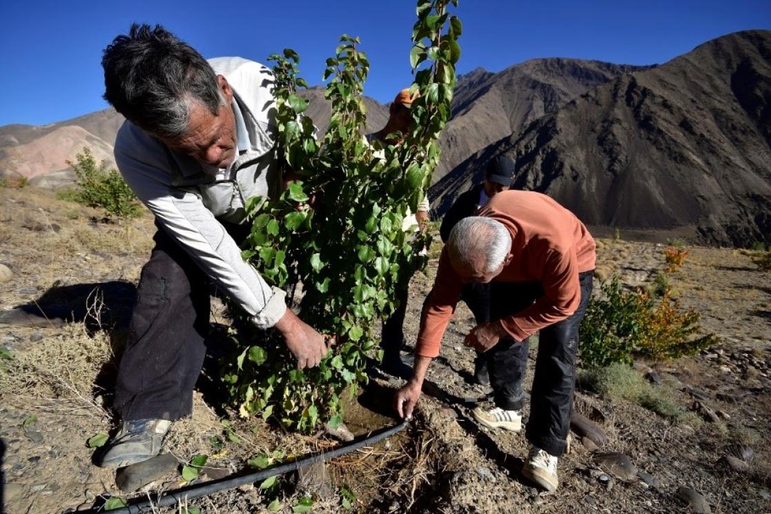 People pruning plants