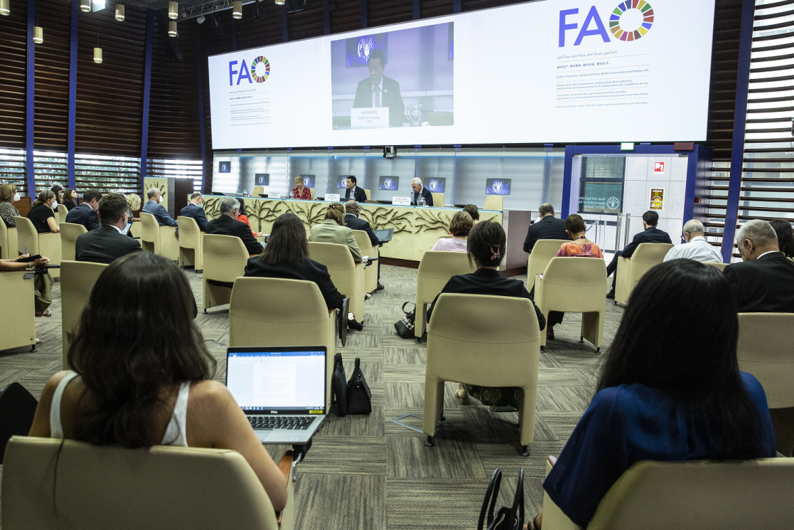 eu ambassadors at fao