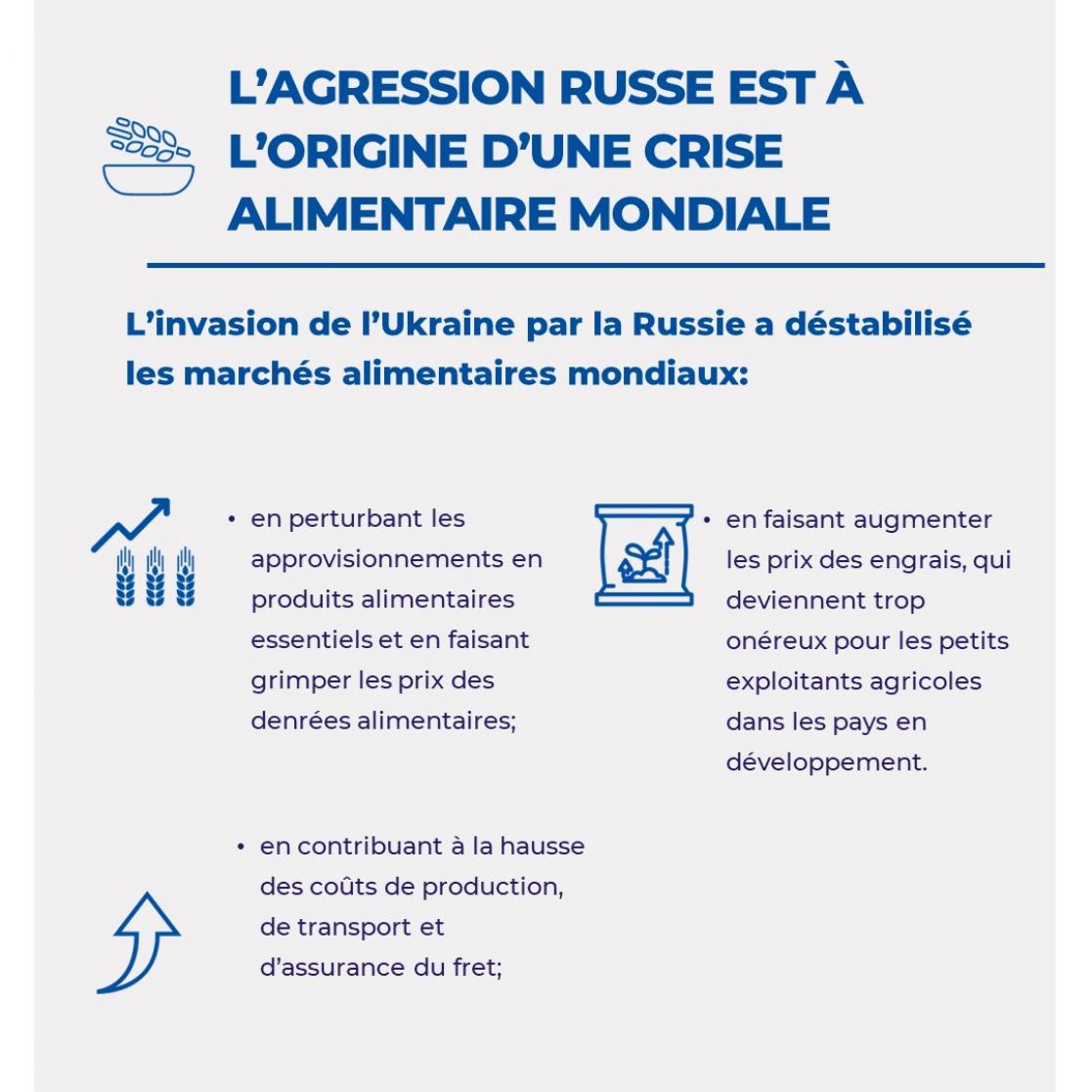 l'aggression russe est à l'origne d'une crise alimentaire mondiale