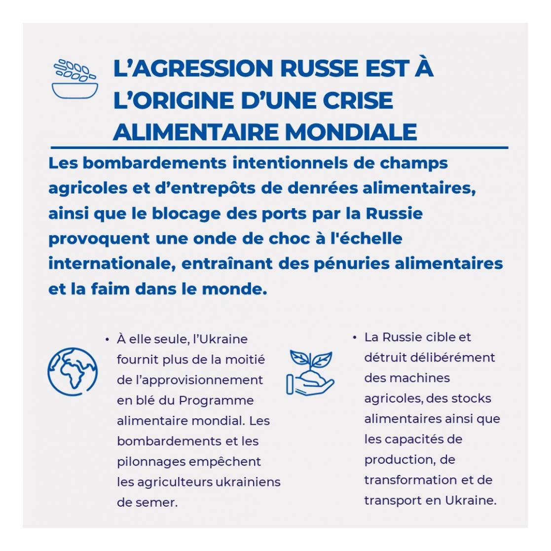 l'aggression russe est à l'origne d'une crise alimentaire mondiale