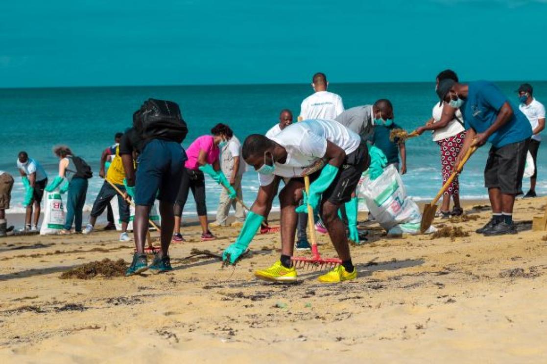 Group of people cleaning the beach