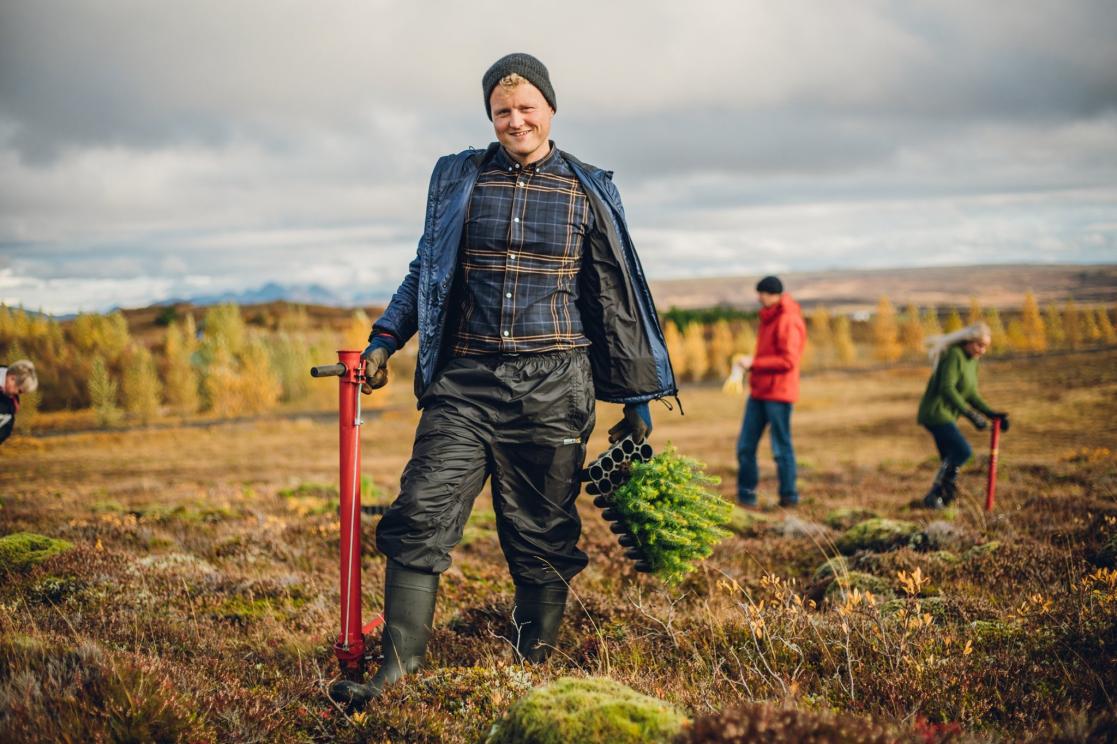 Man planting trees