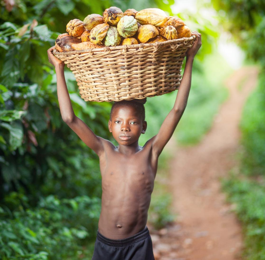 Little boy holding a bag full of food