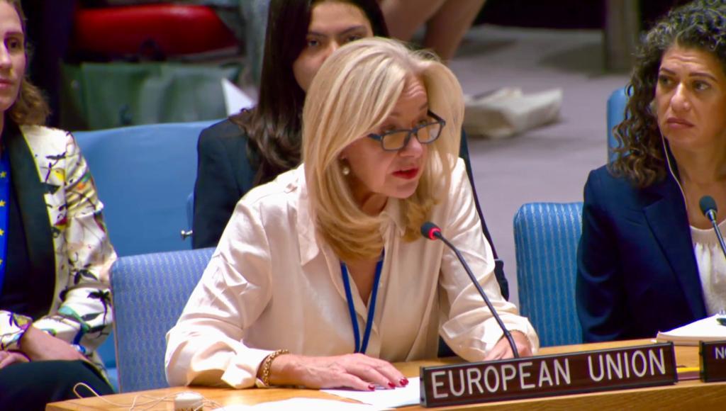 Picture Ambassador Stella Ronner at the UN Security Council