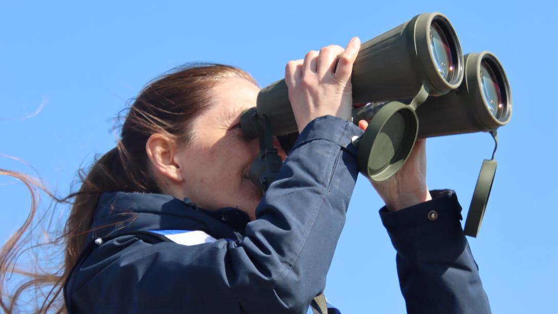 EU Civilian Observer in Armenia