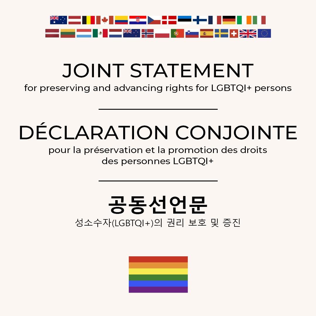 Cover image for LGBTQI + joint statement