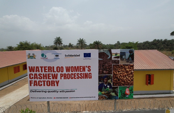 Cashew Processing Factory 