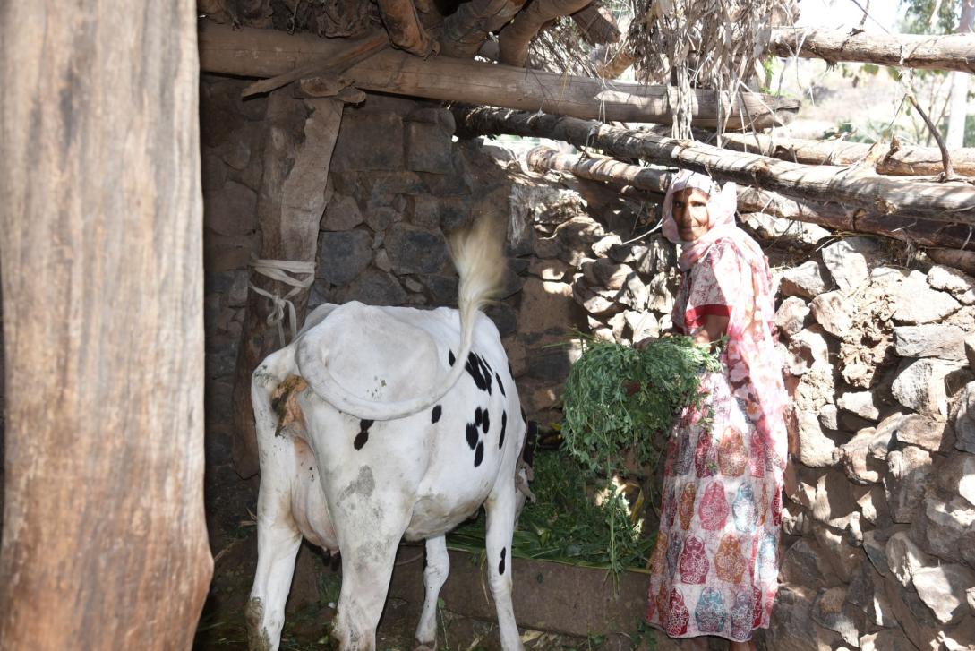 Women in Agribusiness. Dekemhare, Eritrea