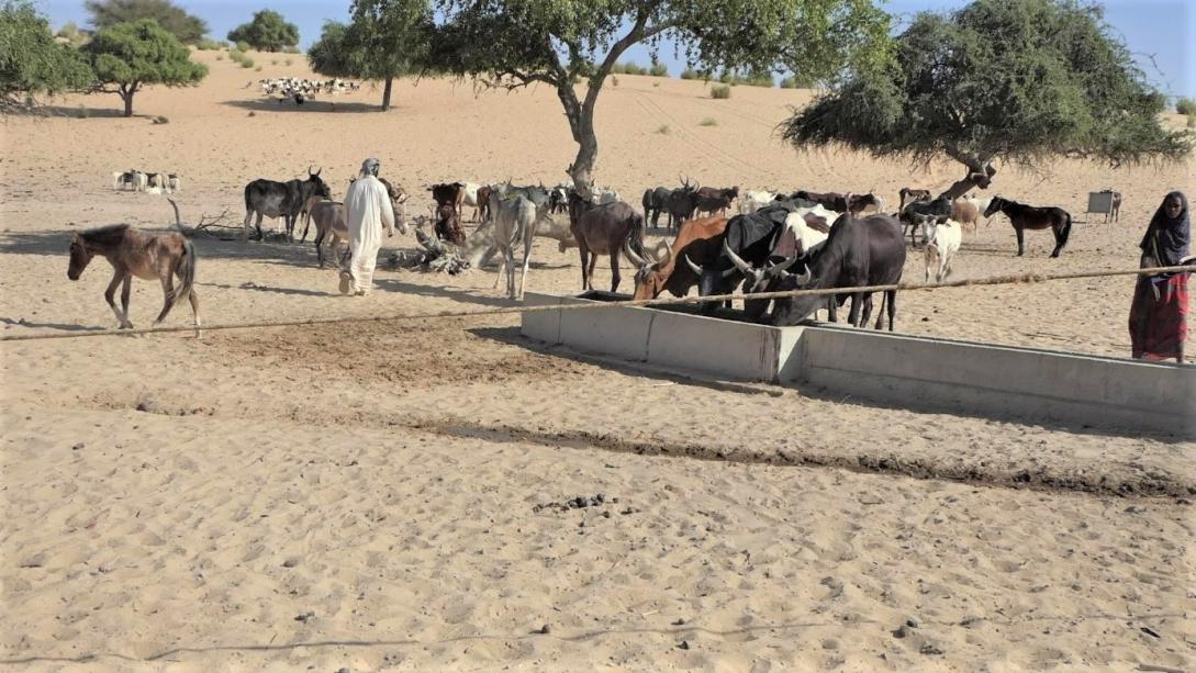 Nord Kanem, frontalier de la province du Lac et du Niger ©ACF/ PDU-UE. 2024