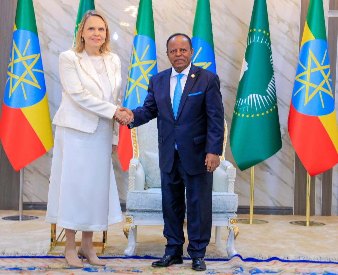 HE Amb Sofie From-Emmesberger presented her Credential to President Taye Atske Selassie