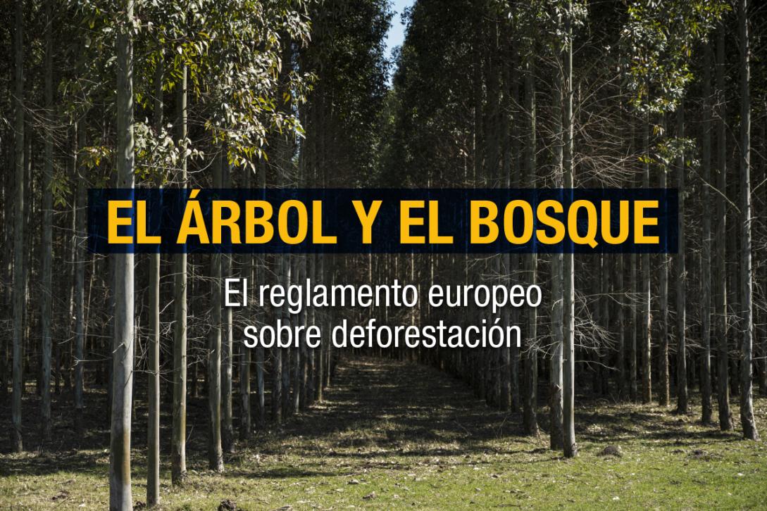 El arbol y el bosque