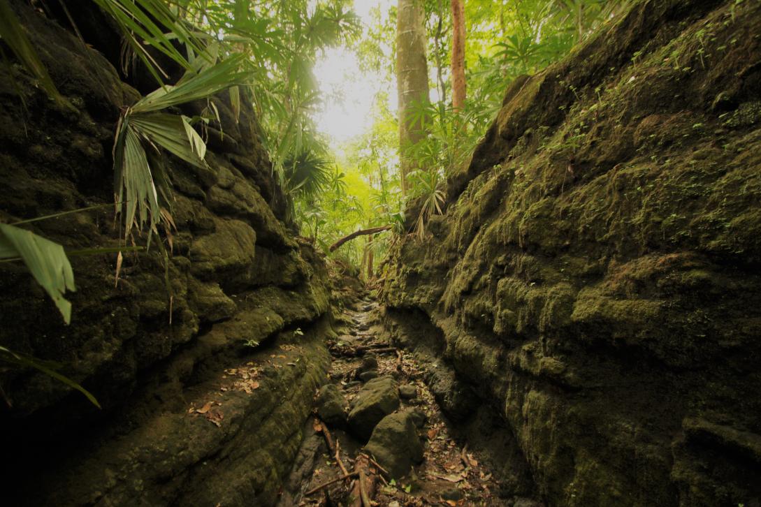 Caminos Coloniales, cruces naturales - Samuel Valdés