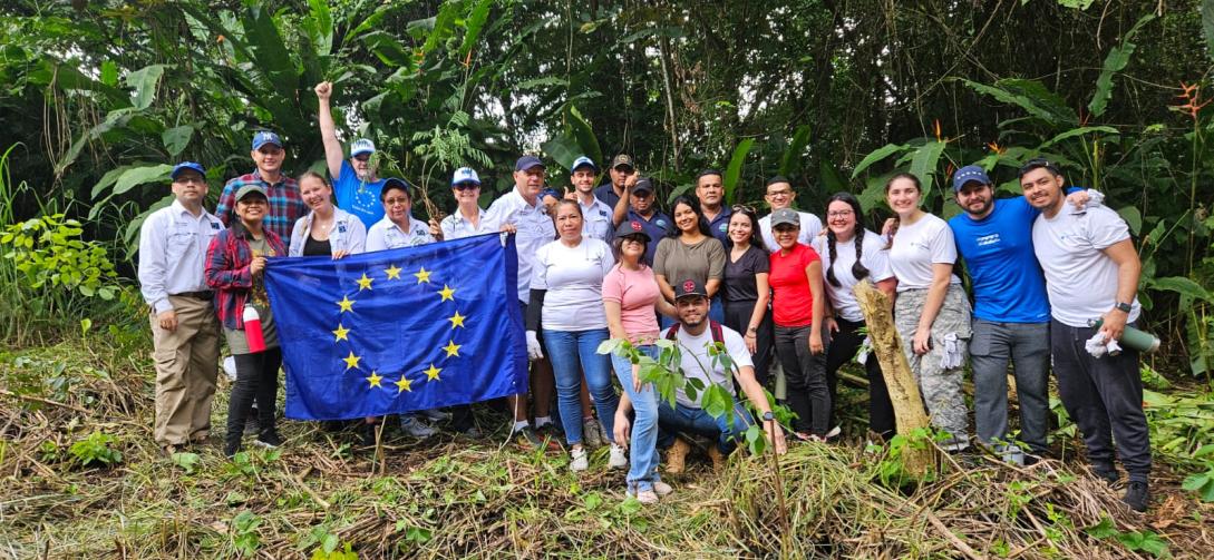 Tree planting Panama 2024