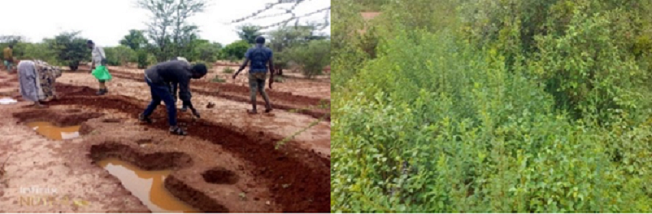 The impact of the project in turning degraded land (left) into rehabilitated land (right), Naniga Dh