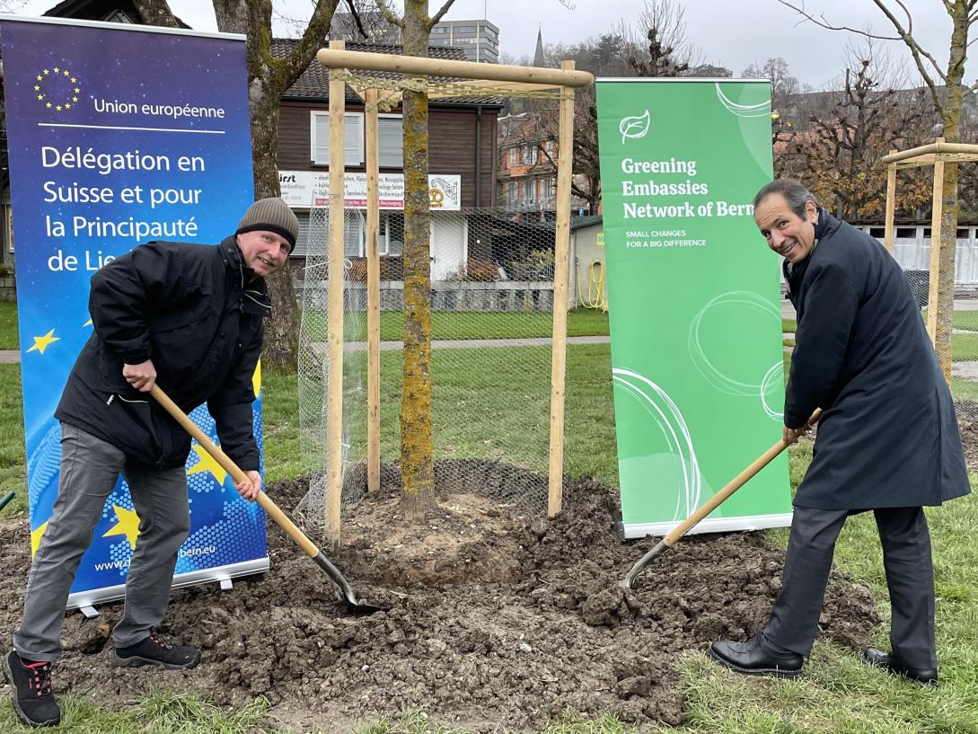 EU Ambassador Mavromichalis planting a tree on the riverside in Bern