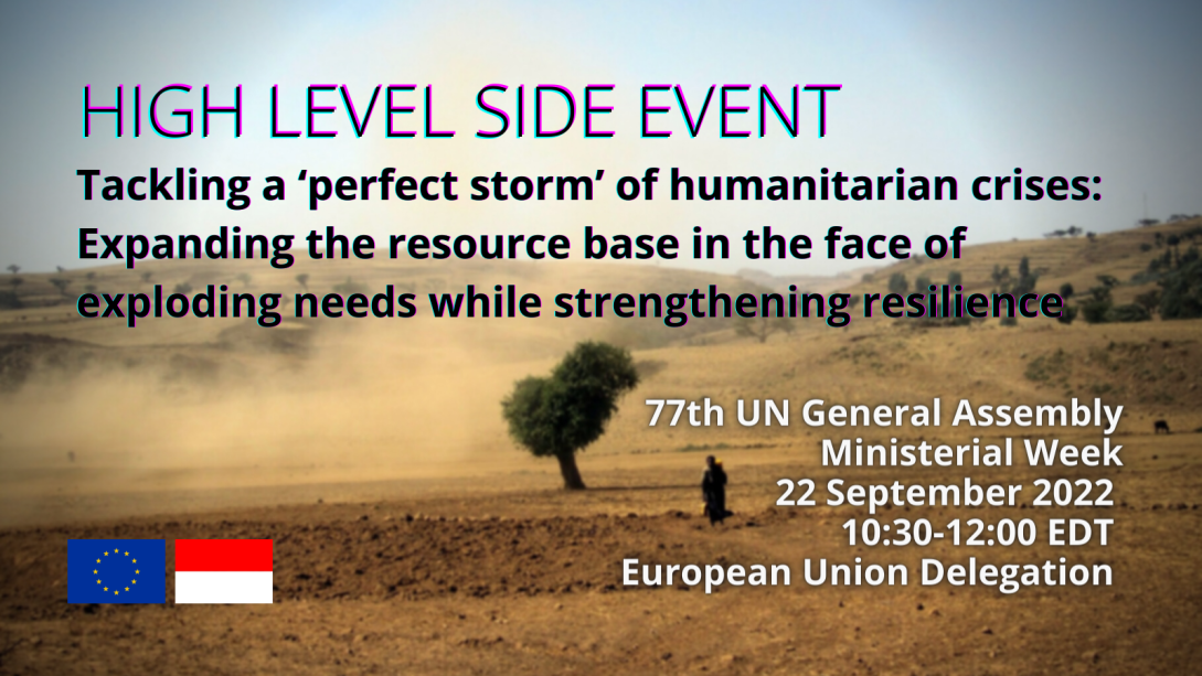 High Level Side Event on Humanitarian Crises