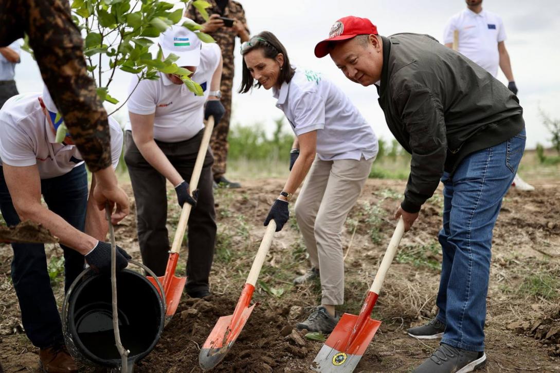 European Union to plant 27 thousand trees in Aral Sea basin