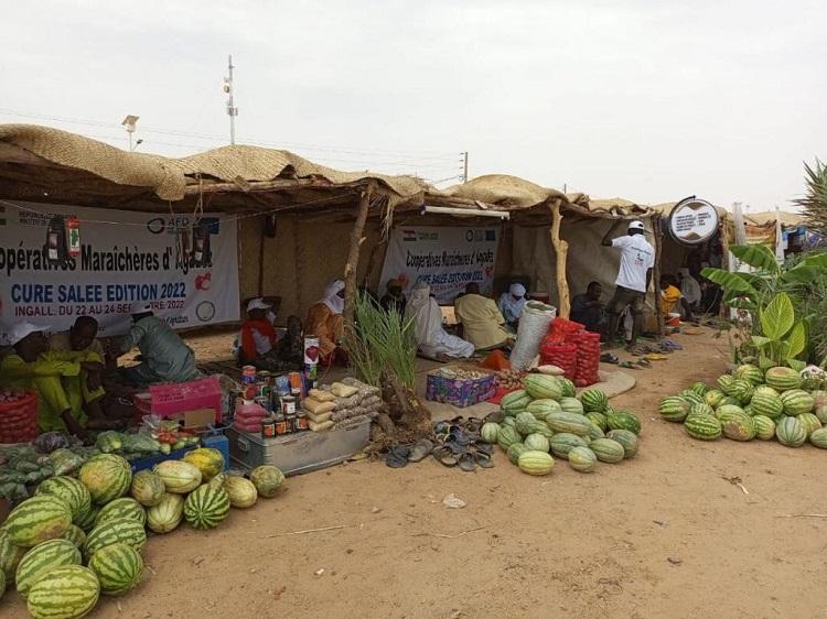 Stand du Projet d’Appui du Développement d’Activités Rurales et au Financement des Filières Agricoles à Ingall