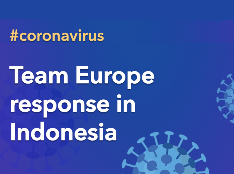 Team Europe response in Indonesia