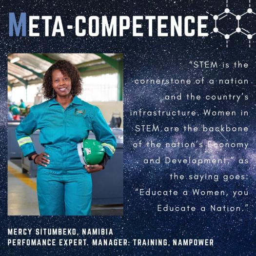 Meta Competence-Namibia