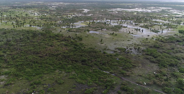 A flat, green terrain partially wooded.