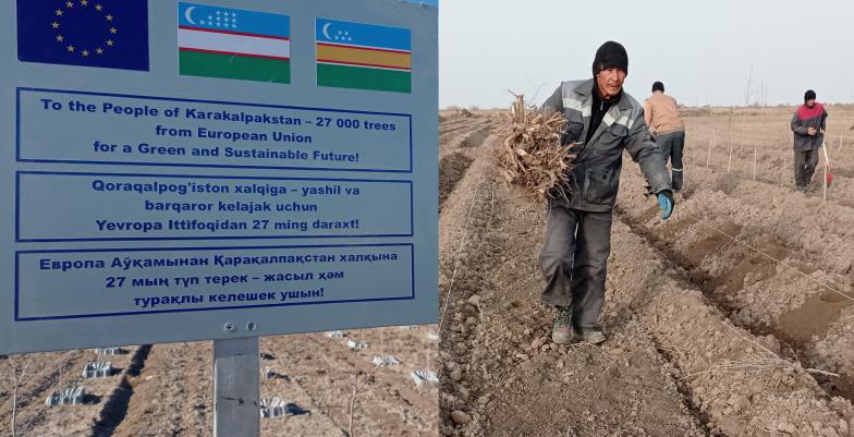 European Union completed planting of 27 thousand trees in Aral Sea basin