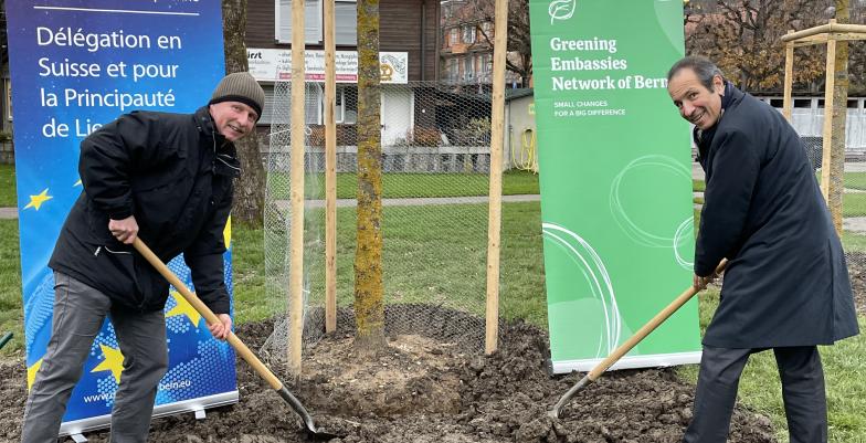 EU Ambassador Mavromichalis planting a tree on the riverside in Bern