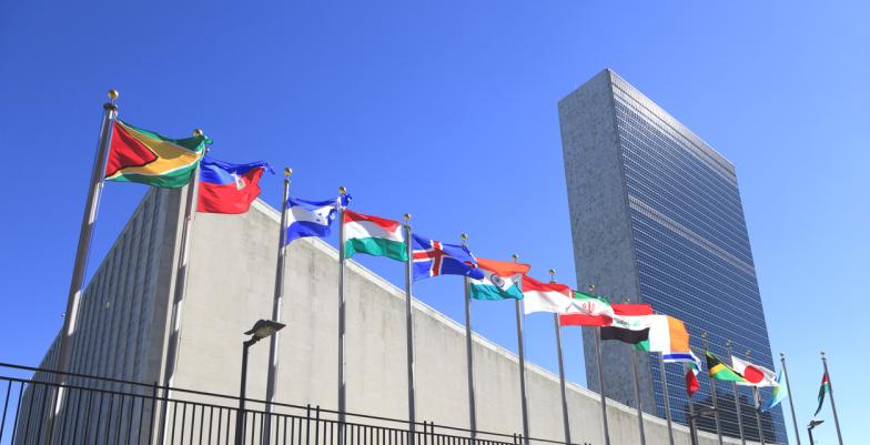 UN building with flags in front