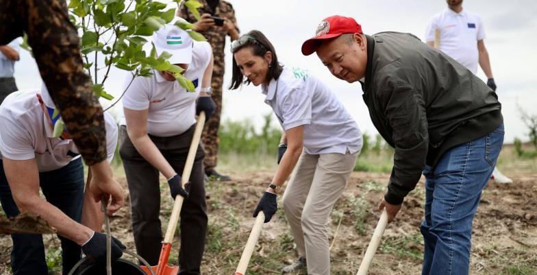 European Union to plant 27 thousand trees in Aral Sea basin